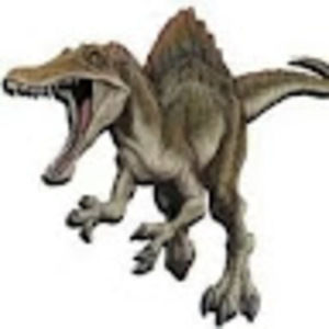 Meet your Posher, Joe